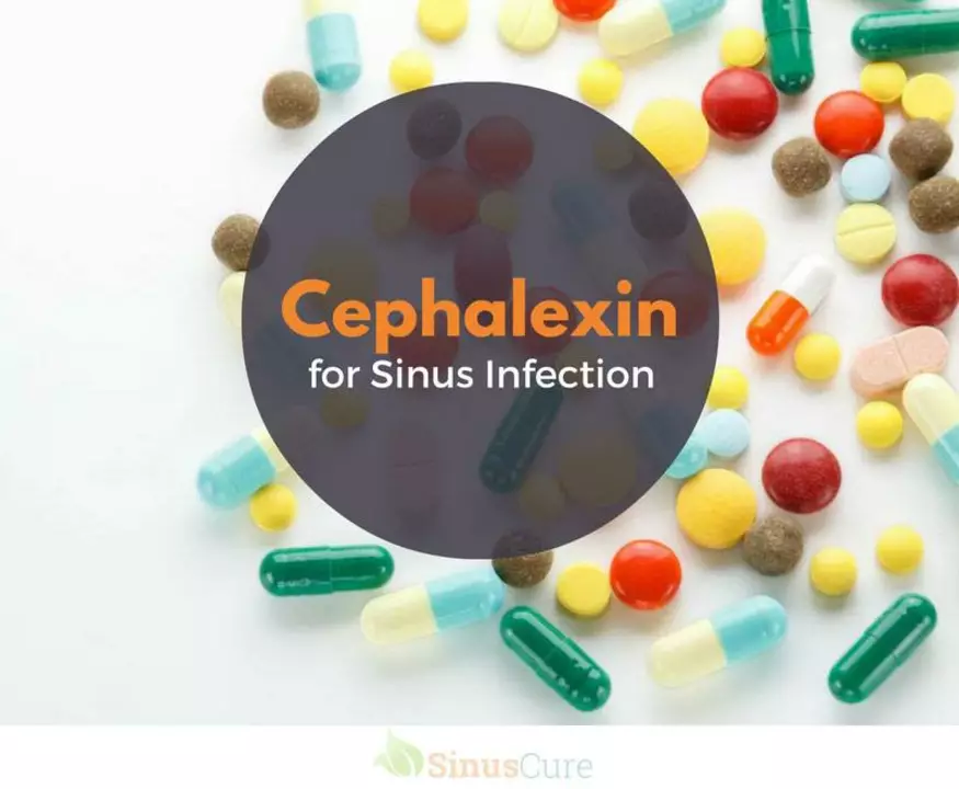 Cephalexin and Food: How to Take This Antibiotic with Meals